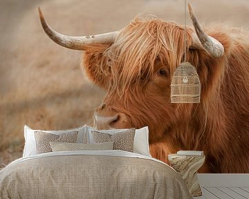 higland cow, schotse hooglander opzij, portret van M. B. fotografie