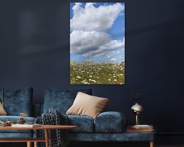 Un champ en fleur sous un ciel bleu sur Claude Laprise