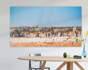 Afrikaanse zebra in Etosha National Park in Namibië, Afrika van Patrick Groß