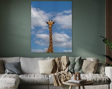 Afrikaanse giraffe in Namibië, Afrika van Patrick Groß