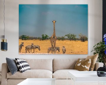 Girafe africaine en Namibie, Afrique sur Patrick Groß