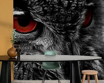 Birds of prey by Mees Tempelaar