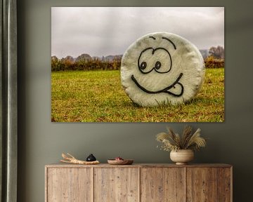 Plastic hay bale with Smiley by John Kreukniet
