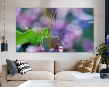Grasshopper in spring by Mees Tempelaar