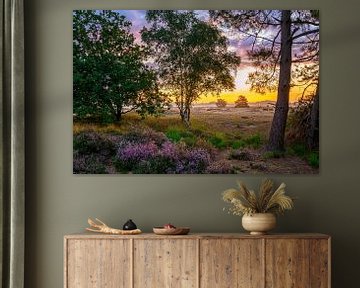 Colourful vista on the flowering heathland by Leon Okkenburg