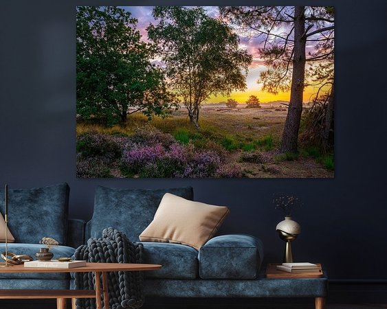 Aperçu de la chambre