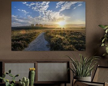 Sunrise over the Renderklippen by Tessa van der Geer