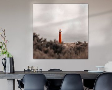 Der rote Leuchtturm von Schiermonnikoog von Daniël Nelck
