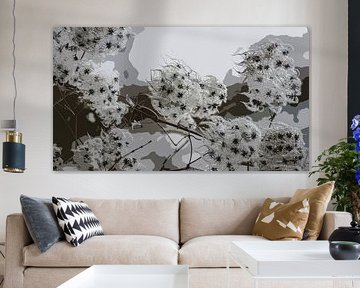 Woodland vine - Clematis vitalba