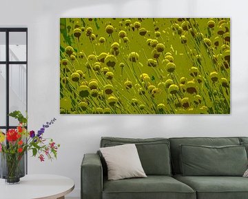 Opus in green-yellow