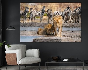 African lion pair at a waterhole in Namibia by Patrick Groß