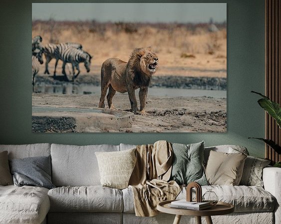 Aperçu de la chambre