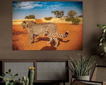 Leopard in Namibia Africa by Patrick Groß