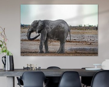 Elefant kühlt sich ab an einem Wasserloch in Namibia, Afrika von Patrick Groß