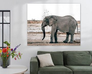 Elefant kühlt sich ab an einem Wasserloch in Namibia, Afrika von Patrick Groß