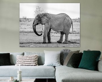 Elephant cooling off at a waterhole in Namibia, Africa by Patrick Groß