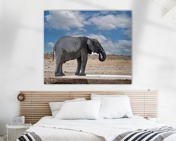 Elephant cooling off at a waterhole in Namibia, Africa by Patrick Groß