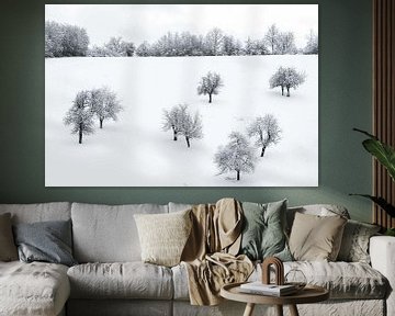 Bomen bedekt met sneeuw van vmb switzerland