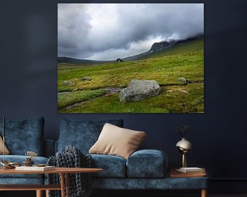 rots en hut in hallingskarvet nationaal park in noorwegen van anton havelaar