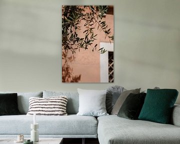 Salmon Pink Colour Wall with Olive Branches in Italy