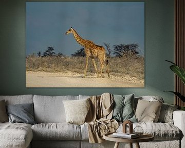 Girafe dans le parc national d'Etosha en Namibie, Afrique sur Patrick Groß