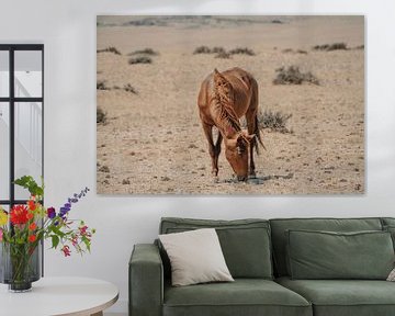 Wild paard in Garub in Namibië, Afrika van Patrick Groß