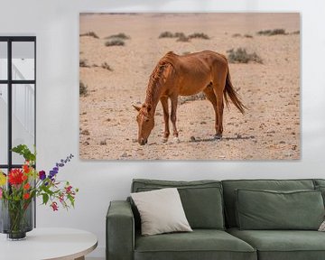 Wild paard in Garub in Namibië, Afrika van Patrick Groß