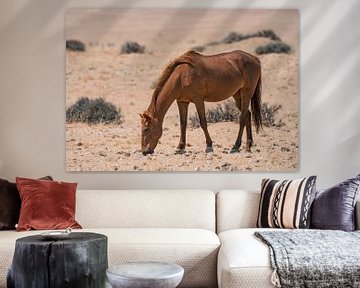 Wild paard in Garub in Namibië, Afrika van Patrick Groß