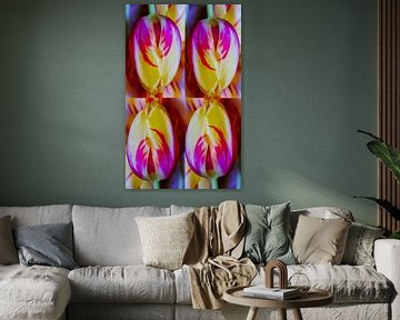 Tulpen.