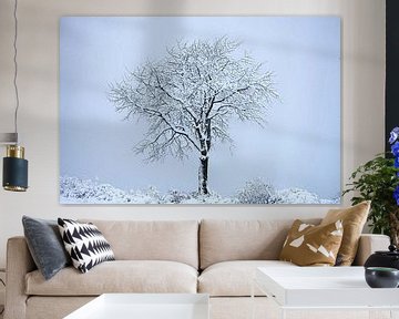 Sneeuwboom van vmb switzerland