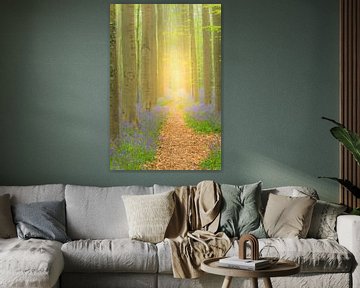 Chemin dans une forêt de Bluebell avec des fleurs épanouies sur Sjoerd van der Wal Photographie