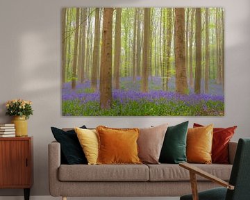 Bluebell forest with blooming flowers on the forest floor