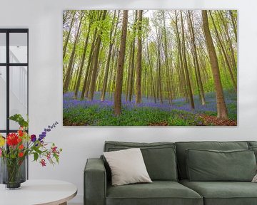 Hyacintenbos met bloeiende bloemen op de bosgrond van Sjoerd van der Wal Fotografie