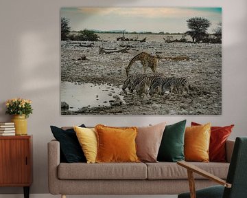 Giraffe in Etosha Nationaal Park in Namibië, Afrika van Patrick Groß