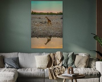 Giraffe im Etosha-Nationalpark in Namibia, Afrika von Patrick Groß