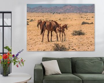 Wild horse and wild horse foal in Garub in Namibia, Africa by Patrick Groß