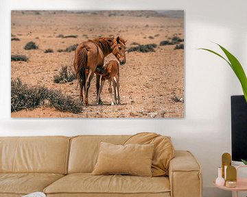 Wild paard en wild paard veulen in Garub in Namibië, Afrika van Patrick Groß