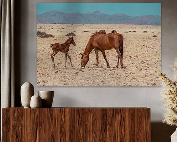 Wild paard en wild paard veulen in Garub in Namibië, Afrika van Patrick Groß