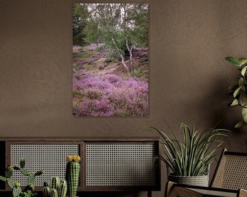 Portrait d'un bouleau dans la lande sur Alie Ekkelenkamp