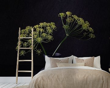 Stilleben, Dill (Anethum Graveolens) in Vase