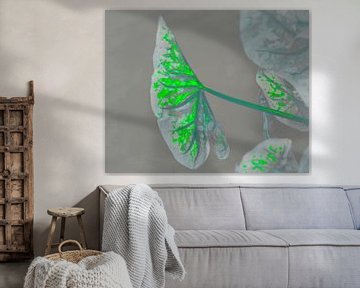 Tropical Jungle Leaf on Grey by Mad Dog Art