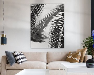 Black and white photo palm tree leaf by Dagmar Pels