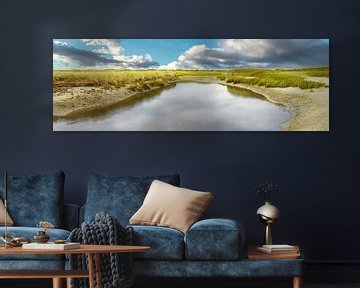 Île des Wadden Texel Slufter et dunes sur eric van der eijk