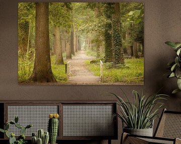 Waldweg mit Brücke von KB Design & Photography (Karen Brouwer)