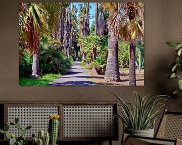 Des palmiers paradisiaques dans le jardin botanique de Palerme sur Silva Wischeropp