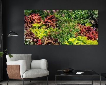 Panorama Kleurrijke bloemen in de zomer van Animaflora PicsStock