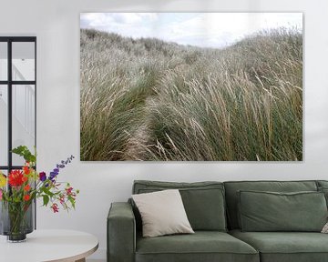L'herbe des dunes à Sylt - balancée par le vent sur Martin Flechsig