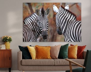 Vor und zurück - Afrika wildlife by W. Woyke