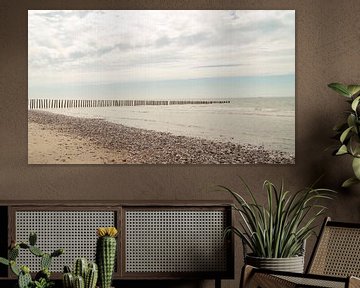 Op het strand van shauni embrechts