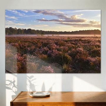 Fairy moorland in the early morning